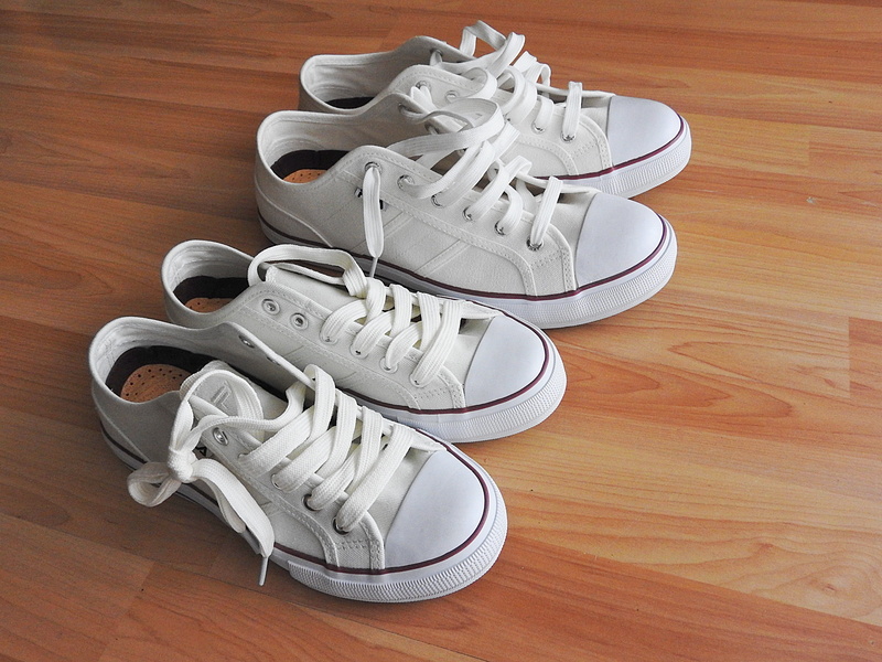 canvas shoe, personal accessory, sneakers, pairs, table, high angle view, indoors, choice, classic, studio shot, fashion, no people, pair, flooring, hardwood floor