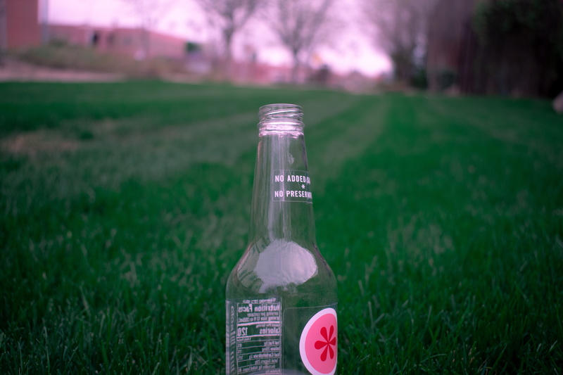 plant, vegetation, no people, pop bottle, text, container, environment, soda, close-up, drink, communication, beer bottle, glass - material, woodland, beer