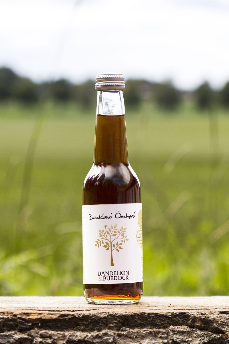 bottle, animal, western script, nature, lager, soda, food and drink, glass, refreshment, focus on foreground, bush, beer bottle, beer, grass, pop bottle