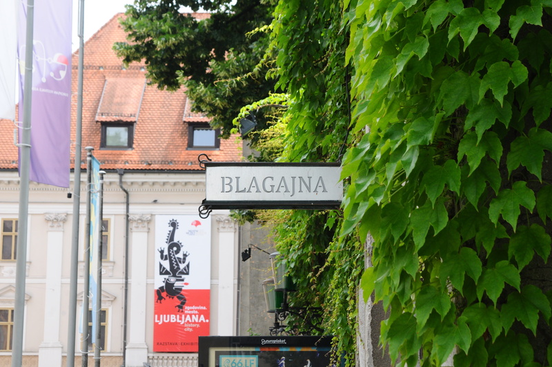 no people, built structure, communication, sign, ljubljana, road sign, text, information, architecture, slovenia, tree, building exterior, nature, day