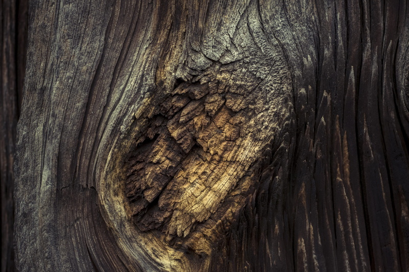 stacked, germany, textured, wood - material, nature, black, pile, stock, rural, cave, close-up, pattern, erlangen, backgrounds, texture, trunk, cracked