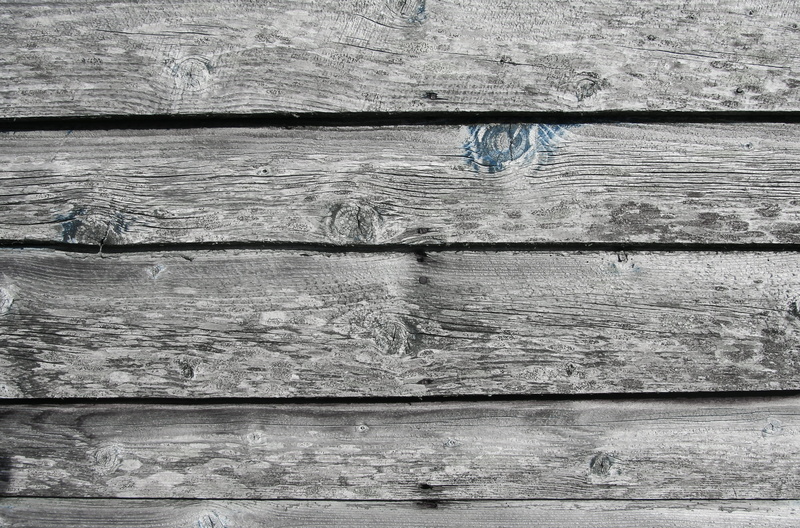 rough, ice, close-up, wood - material, full frame, nature, agelaius, close, weathered, wood, deck, old, hardwood, backgrounds, animal, textured effect