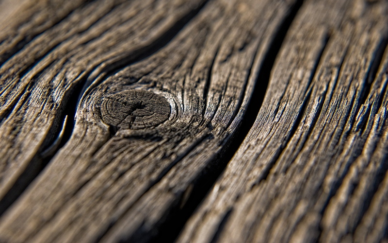 texture, wood, wooden surface, nature, 1080P, macro