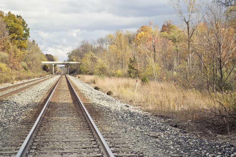 plant, rails, no people, train tracks, nature, railroad track, track, environment, transportation, rail transportation, the way forward, day, cloud - sky