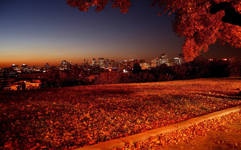 downtown District, night, building Exterior, untitled, travel, plant, urban Scene, yellow, dusk, tree, york, change, fall, town, illuminated, architecture