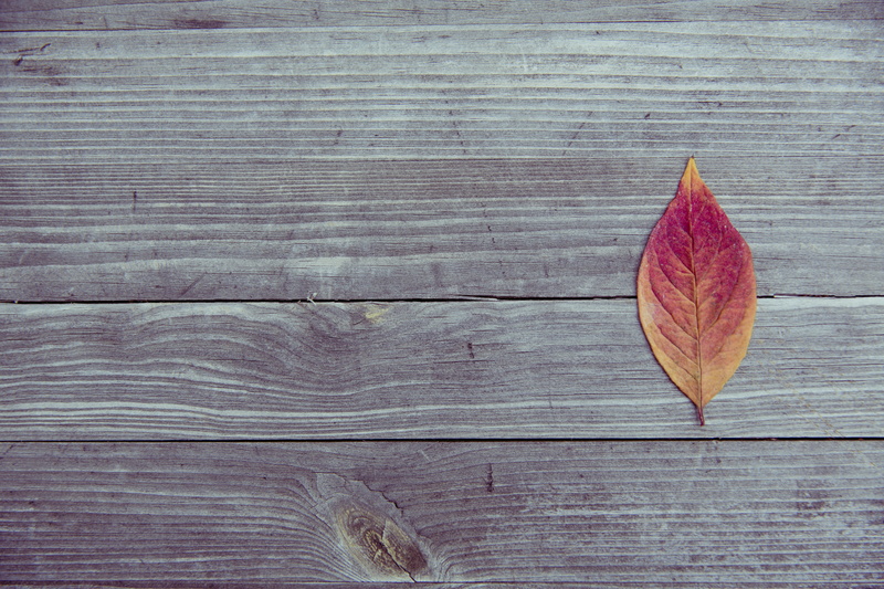 textured, wood grain, yellow, nature, backgrounds, leaf, texture, change, still life, 5K, natural pattern, leaves, season, single object, outdoors, directly above