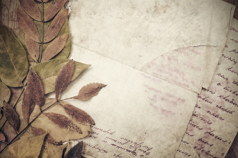 line, leaves, plant, parchment, textured Effect, season, backgrounds, outdoors, maple leaf, wall - building feature, stained, still life, directly above