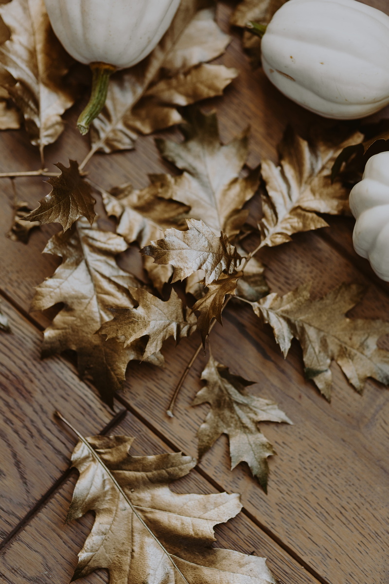 halloween, high angle view, plant part, freshness, table, nature, change, food and drink, oak, leaf, painted leaf, plant, vulnerability, dried, decoration