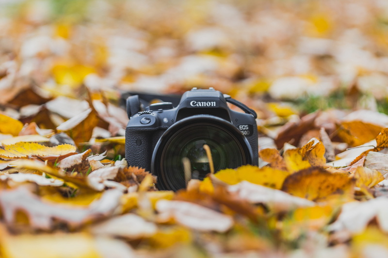 leaves, photographic equipment, plant part, outdoors, 4K, selective focus, no people, fall, equipment, Camera, nature, leaf, digital camera, still life