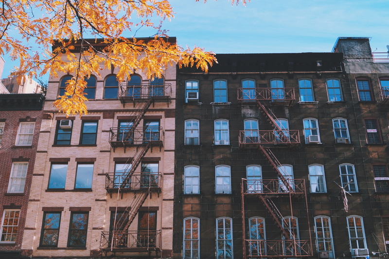 5K, apartment, outdoors, nature, architecture, change, autumn, cityscape, old, windows, building, window, residential District, amsterdam, stairs, netherlands