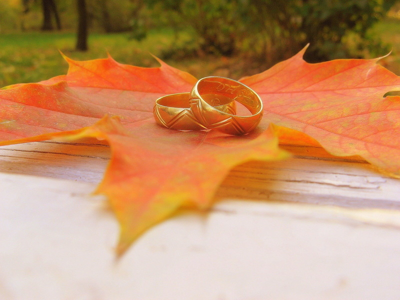 personal accessory, close-up, outdoors, decoration, season, day, gold, still life, glasses, table, plant part, october, maple Tree, colors, ring, red, brown