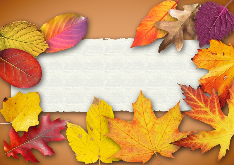 brown, indoors, maple leaf, colorful, still life, golden autumn, dry, multi Colored, no people, greeting card, greeting, high angle view, invitation, change