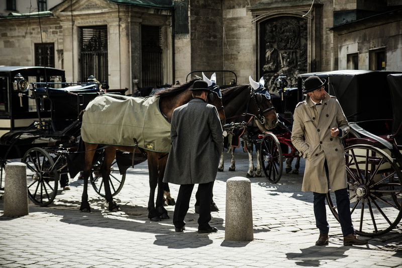 livestock, animal themes, vertebrate, outdoors, history, working animal, horse, waiting, horse cart, old, pets, 1080P, horsedrawn, street, cart, group of people