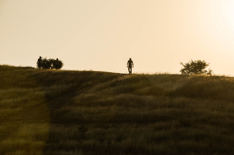 sunset, full length, sky, beauty in nature, 4K, landscape, field, illusions, rear view, scenics - nature, success, walking, non-urban scene, vintage, single man