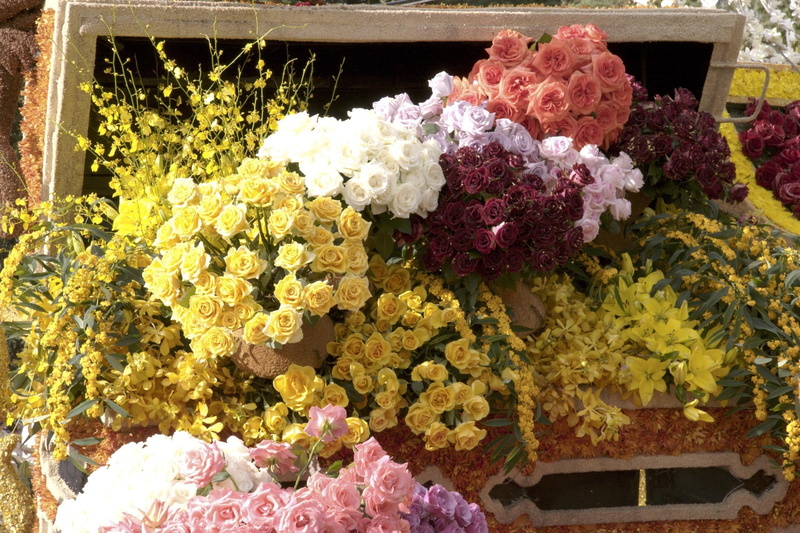 fragility, oses, flowers, multi Colored, much, no People, flower market, white, bunch of flowers, high angle view, for sale, outdoors, counter, different