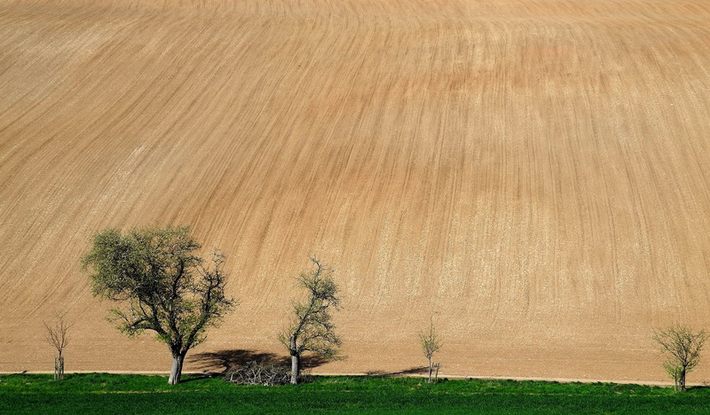 karst landscape, karst, please donate, Donate, field, outdoors, Donation, tree, green color, arable, please appreciate, rural scene, plant, no people, tranquil scene