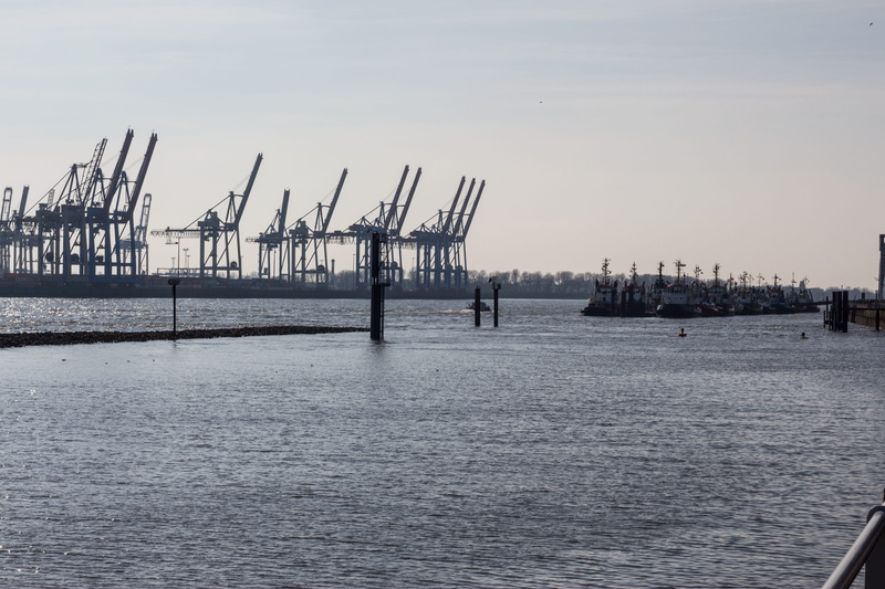 hamburg, business, port, container platform, crane, nature, water, hanseatic city, harbor, port of hamburg, hanseatic, industry, crane - construction machinery