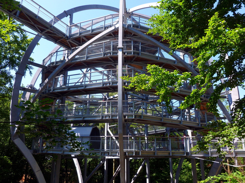 plant, höhenweg, green color, built structure, highlands, away, bad harzburg, nature, lower saxony, architecture, staircase, leaves, watch, attraction