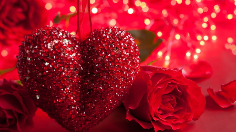 flower, studio shot, heart, selective focus, valentines day - holiday, emotion, outdoors, flowering plant, ripe, freshness, beauty in nature, 1080P, red