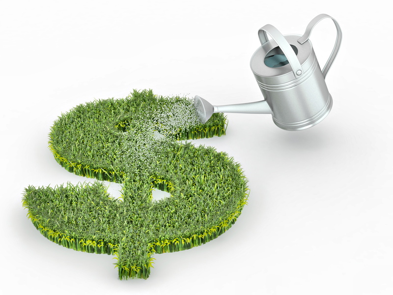 money, shoots, field, studio shot, food and drink, grass, metal, watering can, protection, 5K, dollar, lake, container, watering, profit, indoors, food