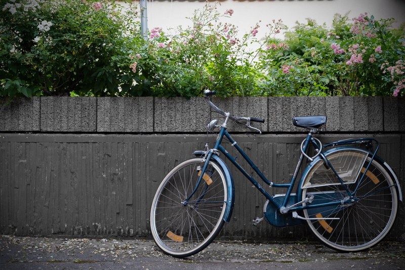 land vehicle, street, Wheel, stationary, architecture, mode of transport, cycling, 5K, deco, parking, wall - building feature, nostalgia, plant, transportation