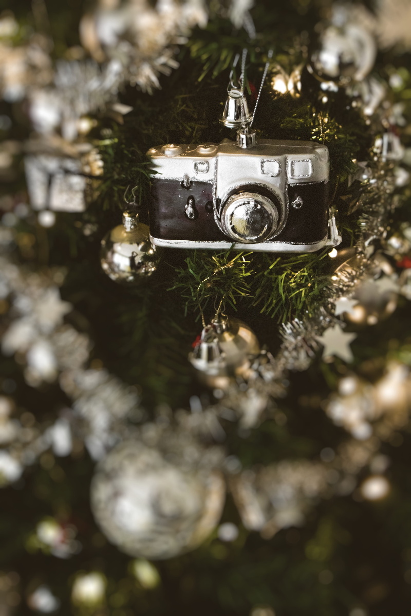 selective focus, photographic equipment, digital camera, close-up, nature, tree, technology, black, 5K, photography themes, day, blurred background, outdoors