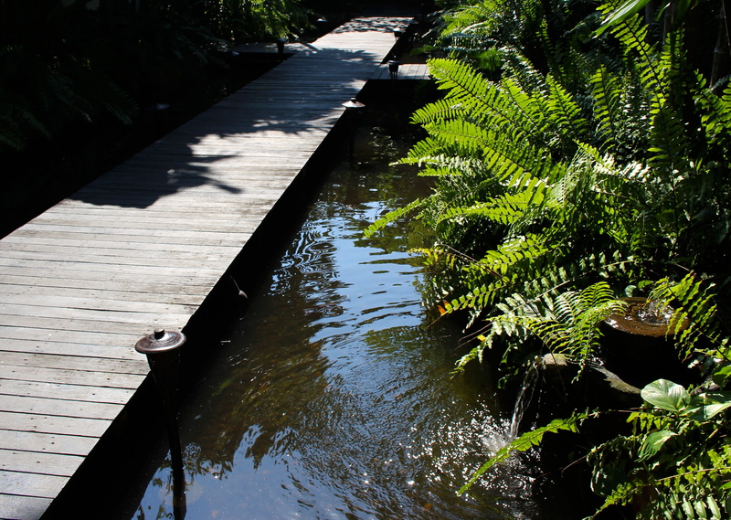 botanical, summer, plant, tranquil scene, decoration, design, peaceful, outdoors, day, Walkway, walk, way, tranquility, forest, beauty in nature, tree