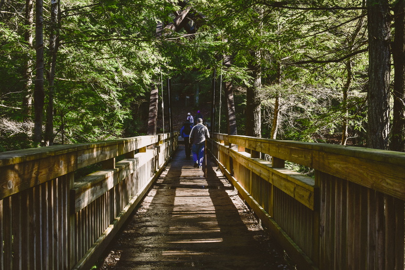 persons, daylight, outdoors, wooden, shadow, guidance, direction, path, foot, environment, tree, two, railing, hikers, summer, park, real people, architecture