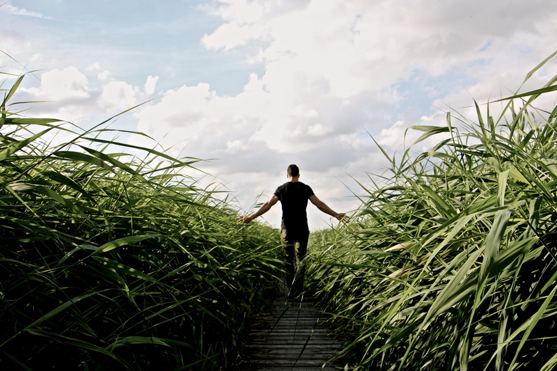 walk, promenade, recovery, nature, rear view, relax, landscape, go for a walk, away, beauty in nature, growth, land, high grass, full length, men, green color