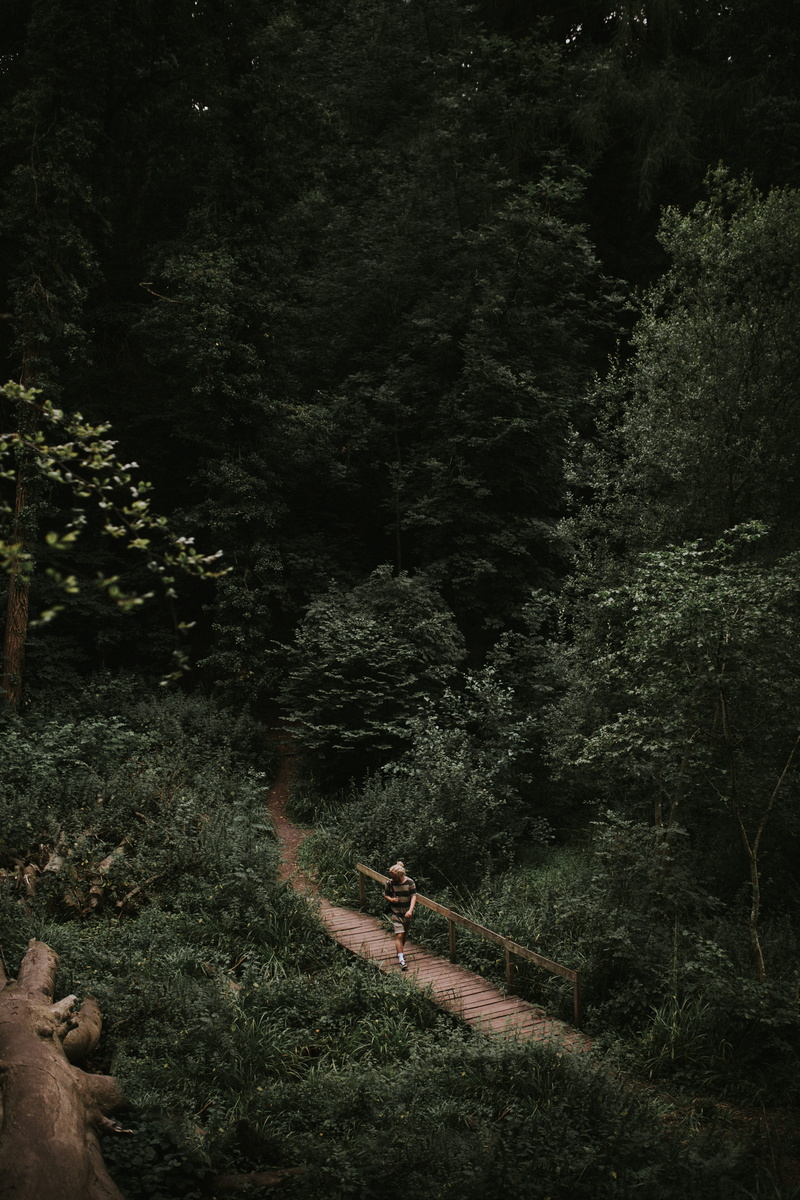 soft, land, natural, people, leisure activity, person, real people, tone, mist, top, focu, tranquility, lush foliage, bridge, forest, path, lake, men, transportation
