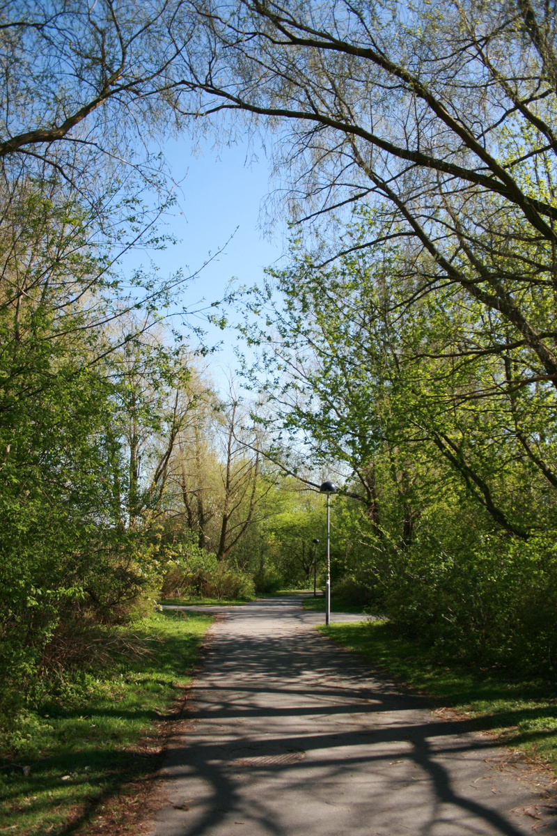 scenic, pathway, sky, greenery, land, road, nature, tranquil scene, tranquility, walkway, beauty in nature, long, green color, footpath, growth, no people