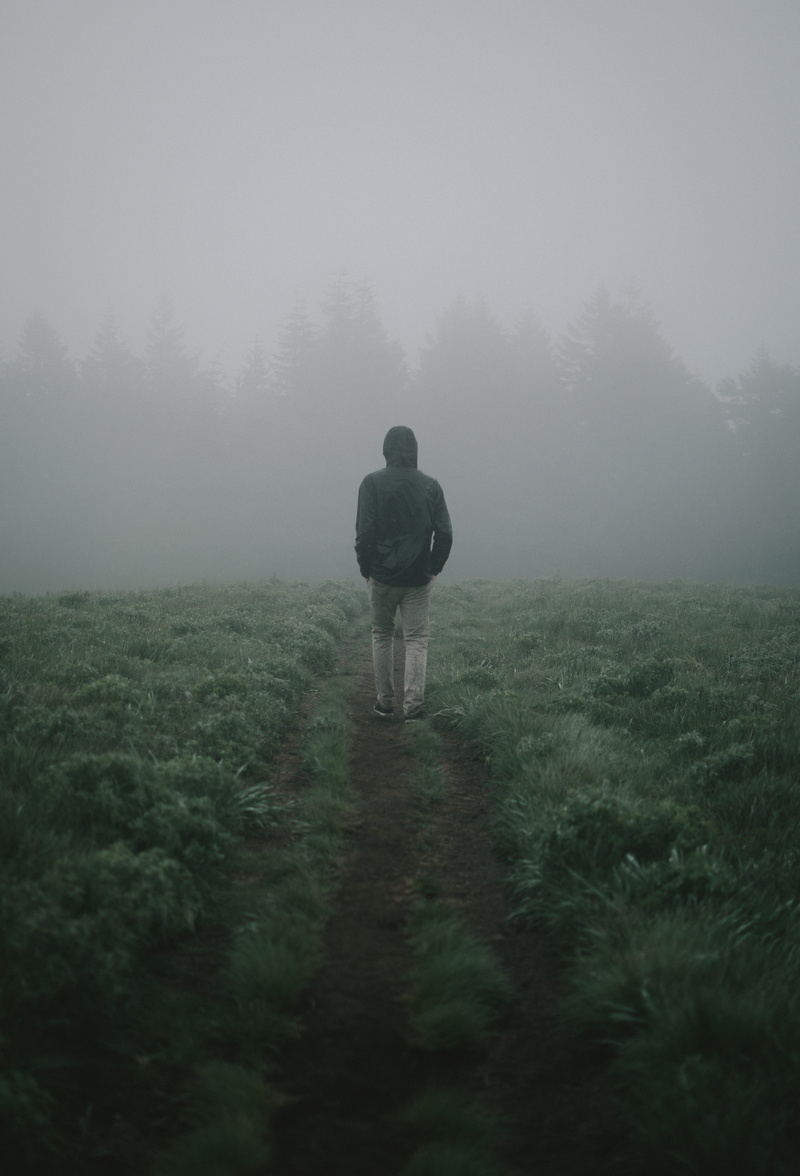 hike, beauty in nature, plant, men, hood - clothing, trail, trees, rain, fog, outdoors, real people, land, grass, tranquility, standing, field, full length