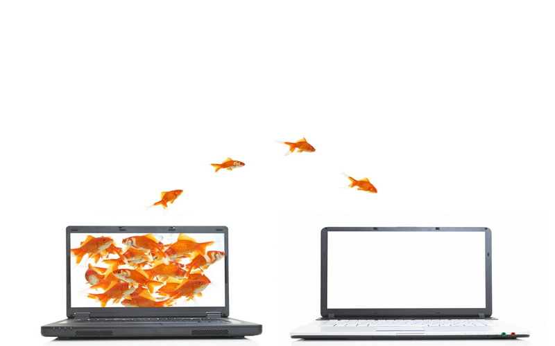 studio shot, symbol, nature, no people, concepts, cut out, group of animals, isolated, computers, group of objects, red, internet, pC, computer Monitor