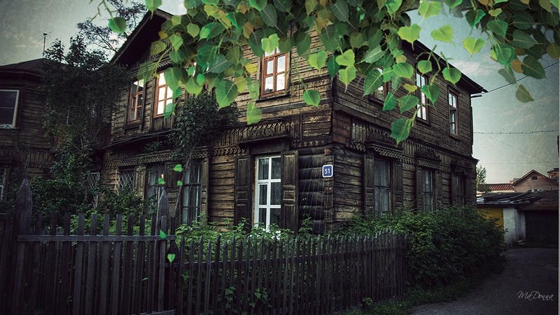 never, windows, forgotten, architecture, v, tree, animals, house, summer, 1080P, old, home