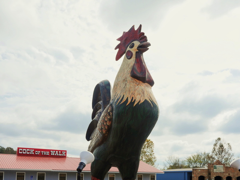 bird, representation, mouth open, chicken - bird, 13560 us 49, sky, cloud - sky, livestock, art and craft, creativity, animal themes, animal, rooster, animal representation