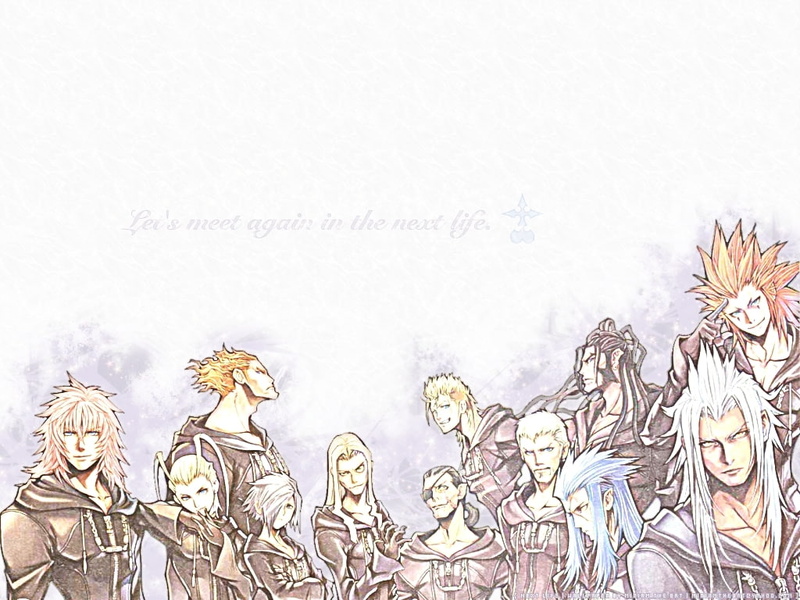 organization, video, orgyxiii, kingdom, hearts, 480P, hd, art, games, xiii, x, thread