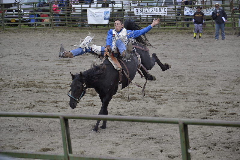 vertebrate, rope, lifestyles, man, risky, rodeo, herbivorous, cowboy, 4K, full length, horseback riding, outdoors, animal, pets, leisure activity, horse
