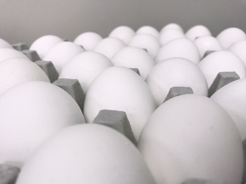 natural, carton, grey, still life, selective focus, chicken, egg, white, breakfast, no people, macro, freshness, food, abundance, eggs, arrangement, wellbeing