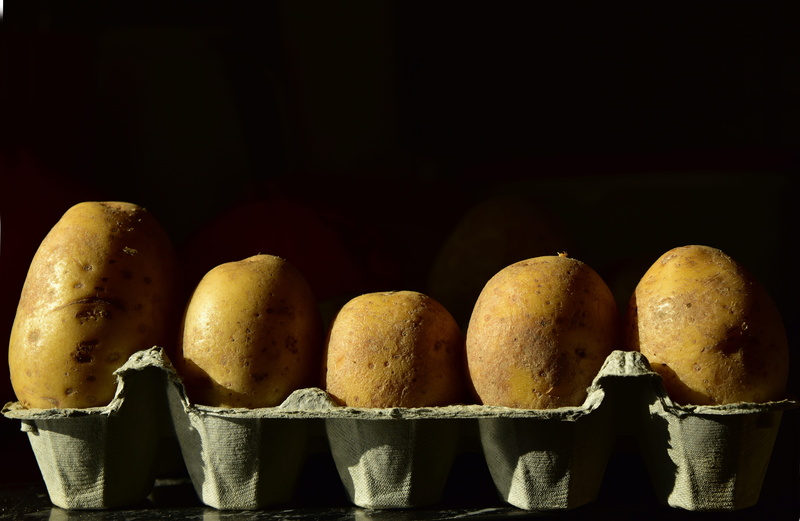 cook, copy space, wellbeing, healthy eating, food, large group of objects, 5K, close-up, freshness, ingredient, false, group of objects, arrangement, vitamins