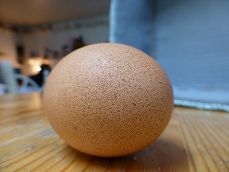 market, animal Egg, organic, focus on foreground, no people, nutrition, food, wood - Material, chicken, wellbeing, 4K, egg, farm, close-up, ingredient