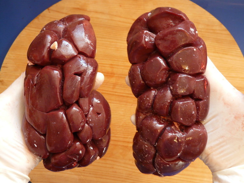 sweet, still life, cook, temptation, meat, red, high angle view, wood - material, indulgence, 2K, person, beef, bovine kidney, inside, close-up, unhealthy eating