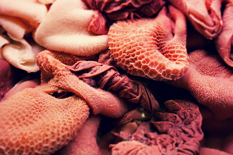fruit, Food, close-up, meat, Rumen, healthy eating, Offal, pork belly, red, food and drink, raw food, backgrounds, abundance, selective focus, wellbeing