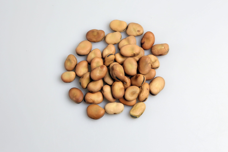 beans, nut - food, red beans, kidney beans, healthy food, nut, freshness, abundance, indoors, healthy eating, raw food, wellbeing, seeds, large group of objects