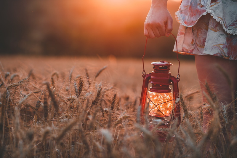 jar, farm, agriculture, rustic, bottle, human Hand, field, non-Urban Scene, people, leisure activity, one Person, food, selective focus, real people, holding