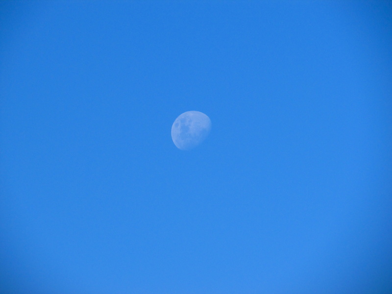 space, sky, no people, half moon, outdoors, blue, night, dusk, moon, tranquil scene, above, astronomy, beauty in nature, space and astronomy, planetary moon
