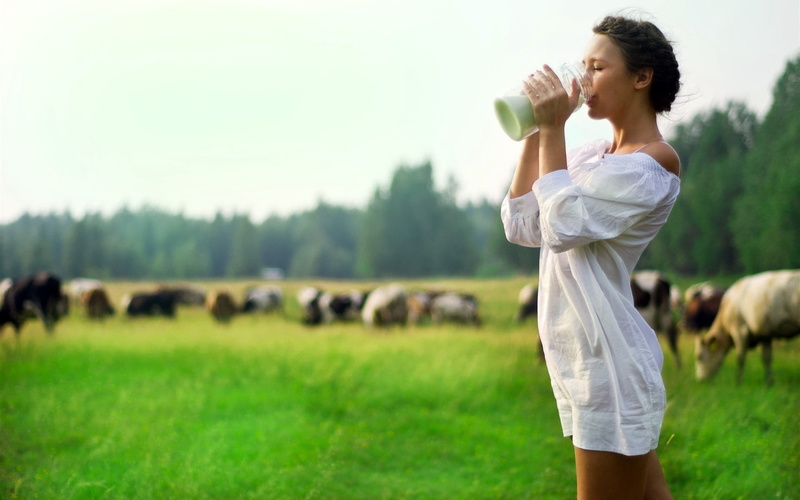 drinking, day, brunette, women, blurring, grass, long, livestock, domestic animals, banks, dress, hair, 1080P, cows, domestic, healthy Lifestyle, white