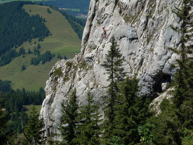 rock, land, environment, climbing, Mountaineer, tree, mountain peak, nature, chiemgau, outdoors, day, rock - object, mountain, tranquility, tranquil scene