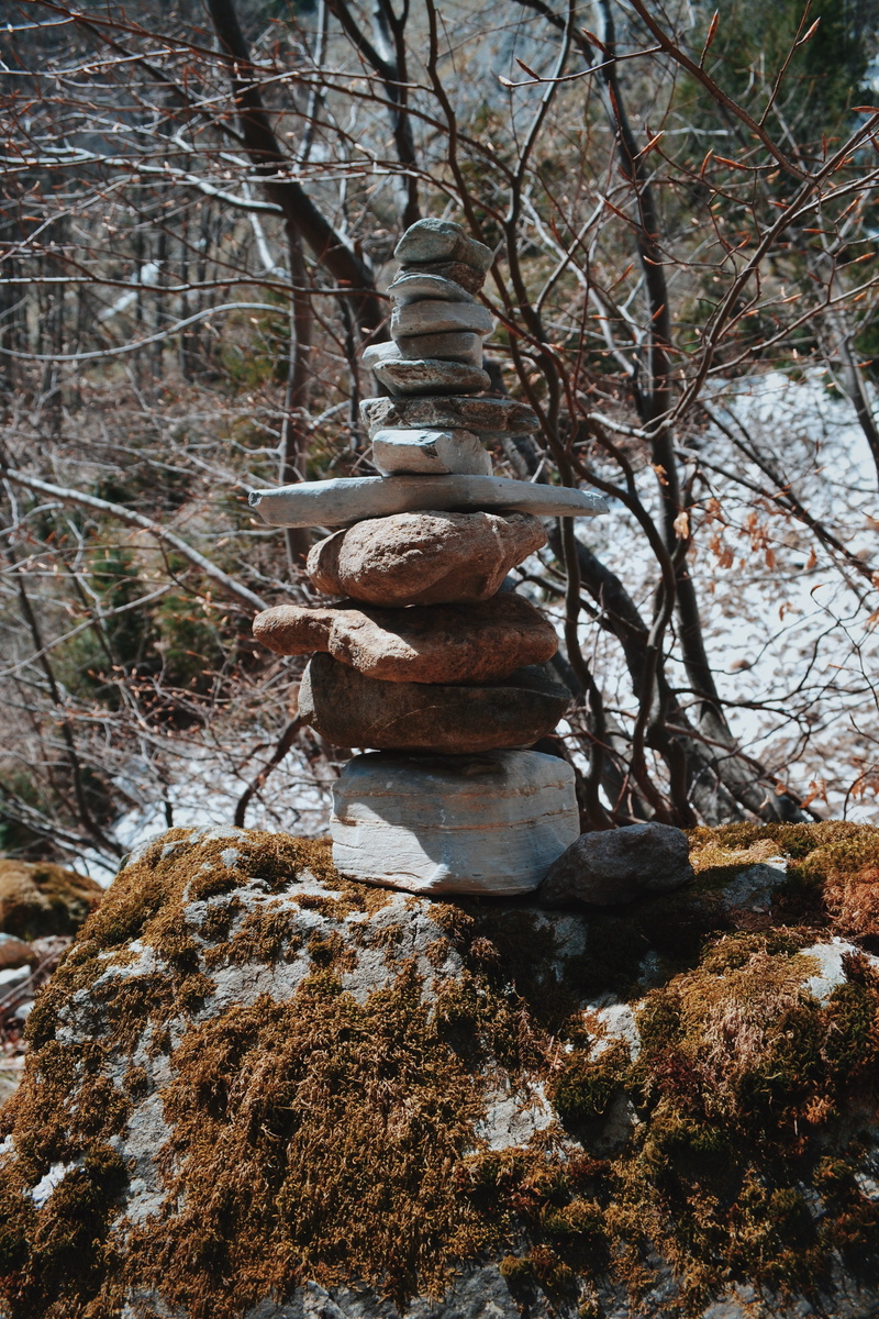 wall, slate, rubble, ground, rock - object, equilibrium, stones, architecture, branch, 4K, outdoors, wilderness, belief, day, growth, nature, plant, fern