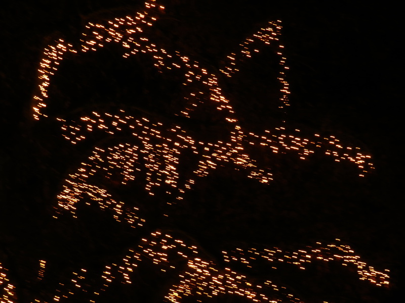 out of focus, celebration, light, december, deco, low angle view, wobbles, aesthetic, blurred motion, no people, outdoors, abstract, tree, firework, night