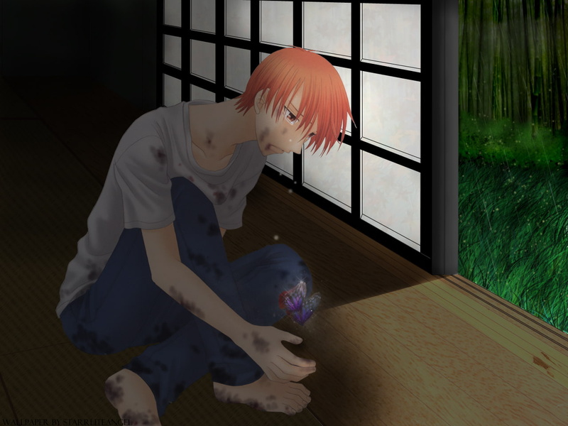 Tears, Fruits Basket, Butterfly, 720P, Kyo Sohma, Anime